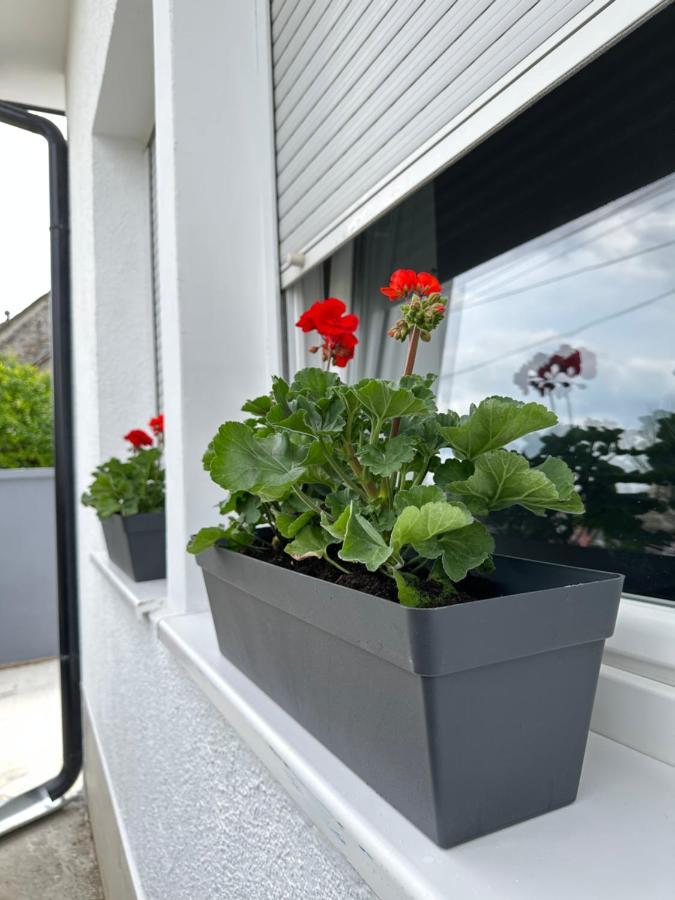 Apartman Maja Srbobran Εξωτερικό φωτογραφία
